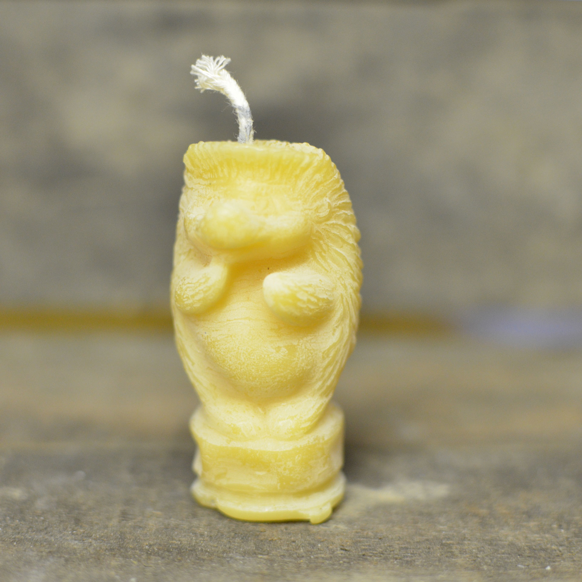 Hedgehog Candle